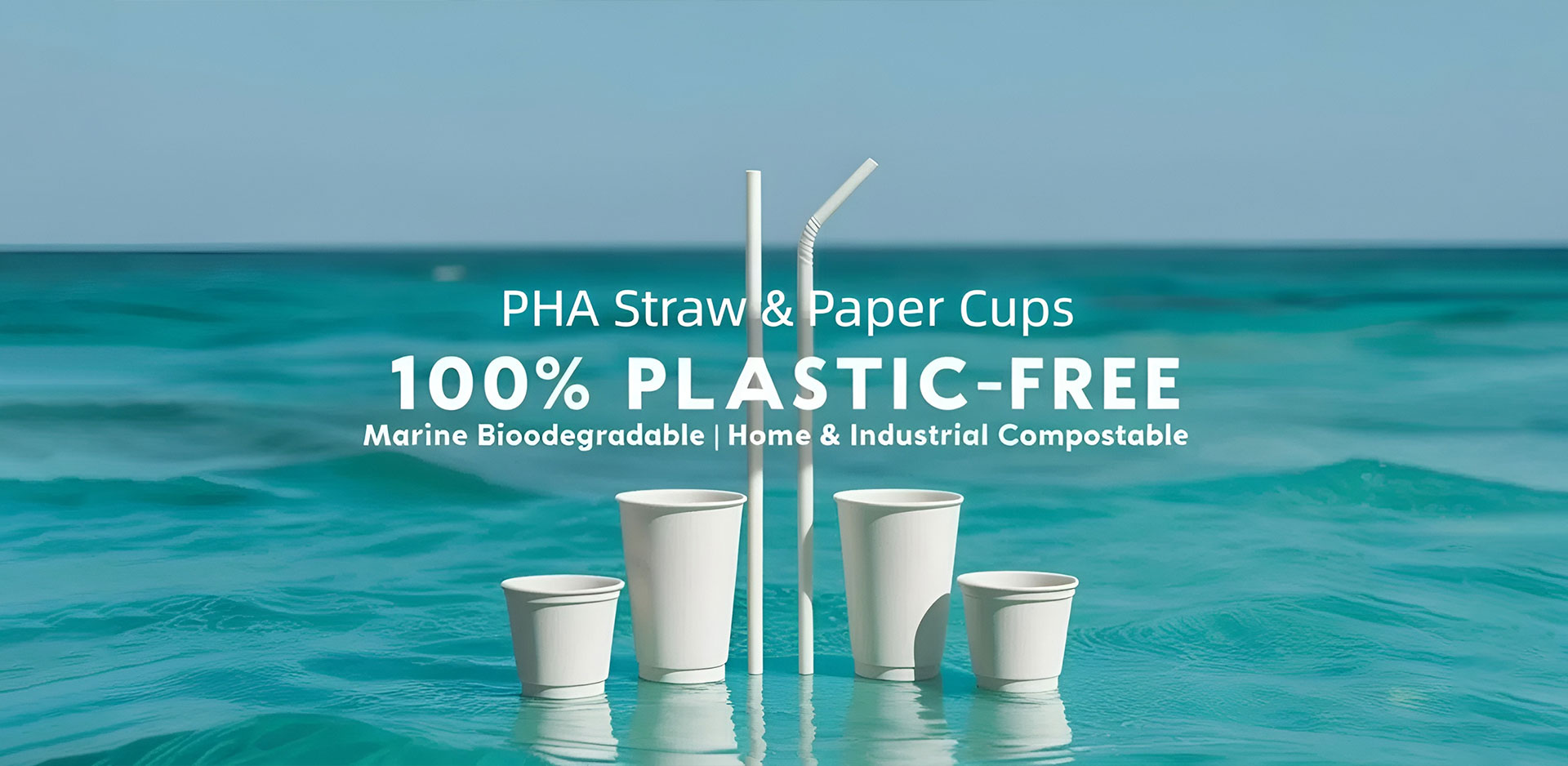 중국 종이 컵 공급 업체