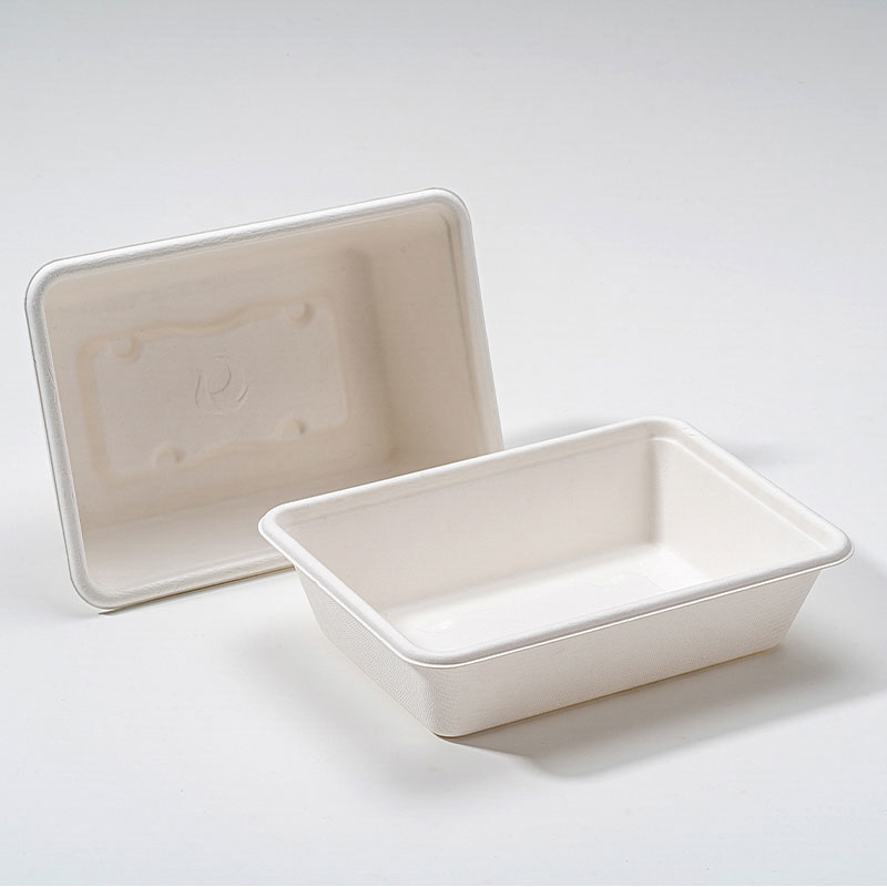 Bagasse Square Box가 지속 가능한 식품 포장의 미래인 이유는 무엇입니까?